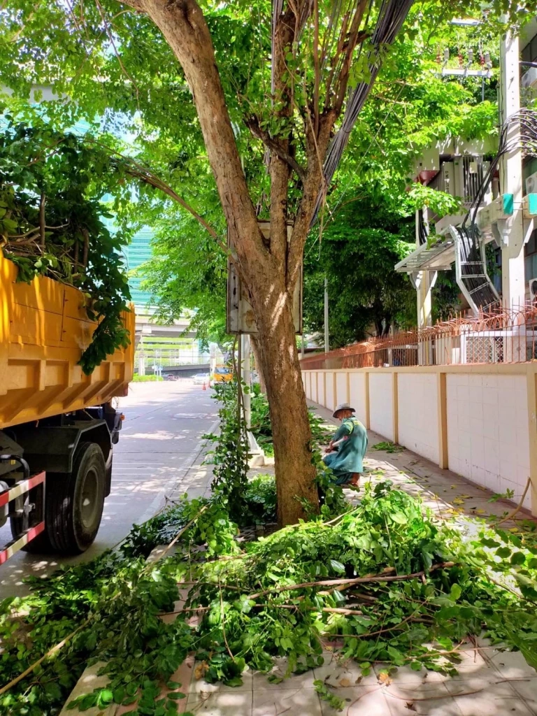 ผอ.เขตจตุจักร สั่งตัดต้นไม้บังทาง-จัดชุดสายตรวจร่วมป้องกันเหตุซ้ำรอย