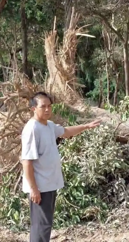 ร้องตรวจสอบ ผู้ใหญ่บ้าน กำนัน นายก อบต.บุกรุก-ครอบครองที่ป่า