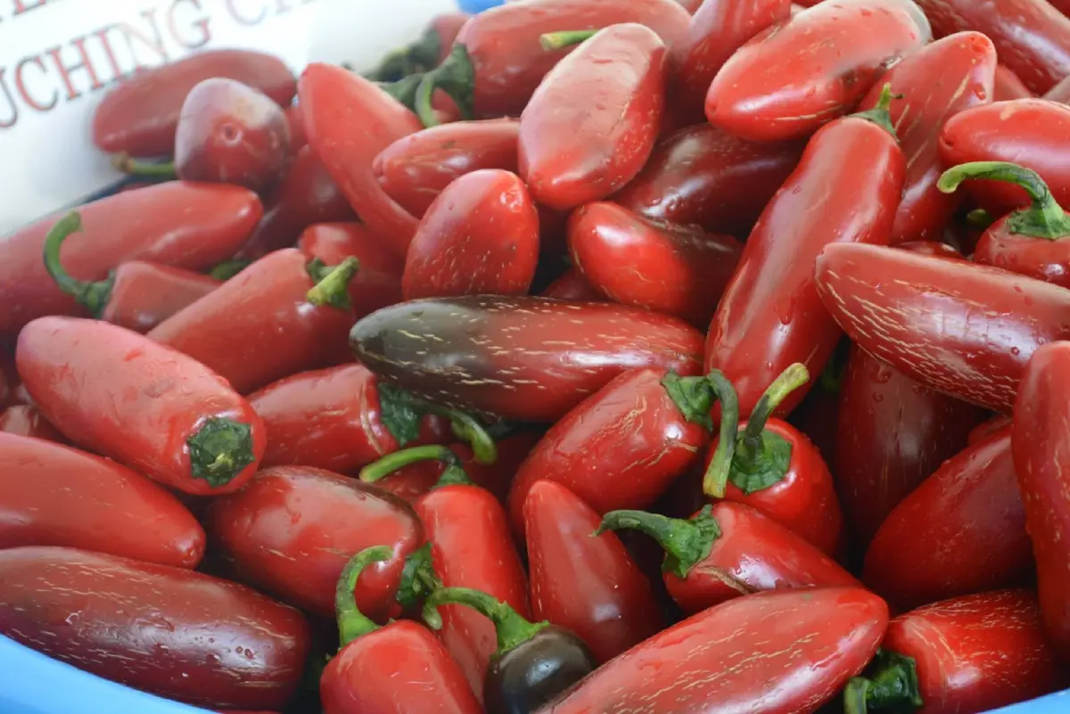 ภาพ : Huy Fong Foods, Inc.