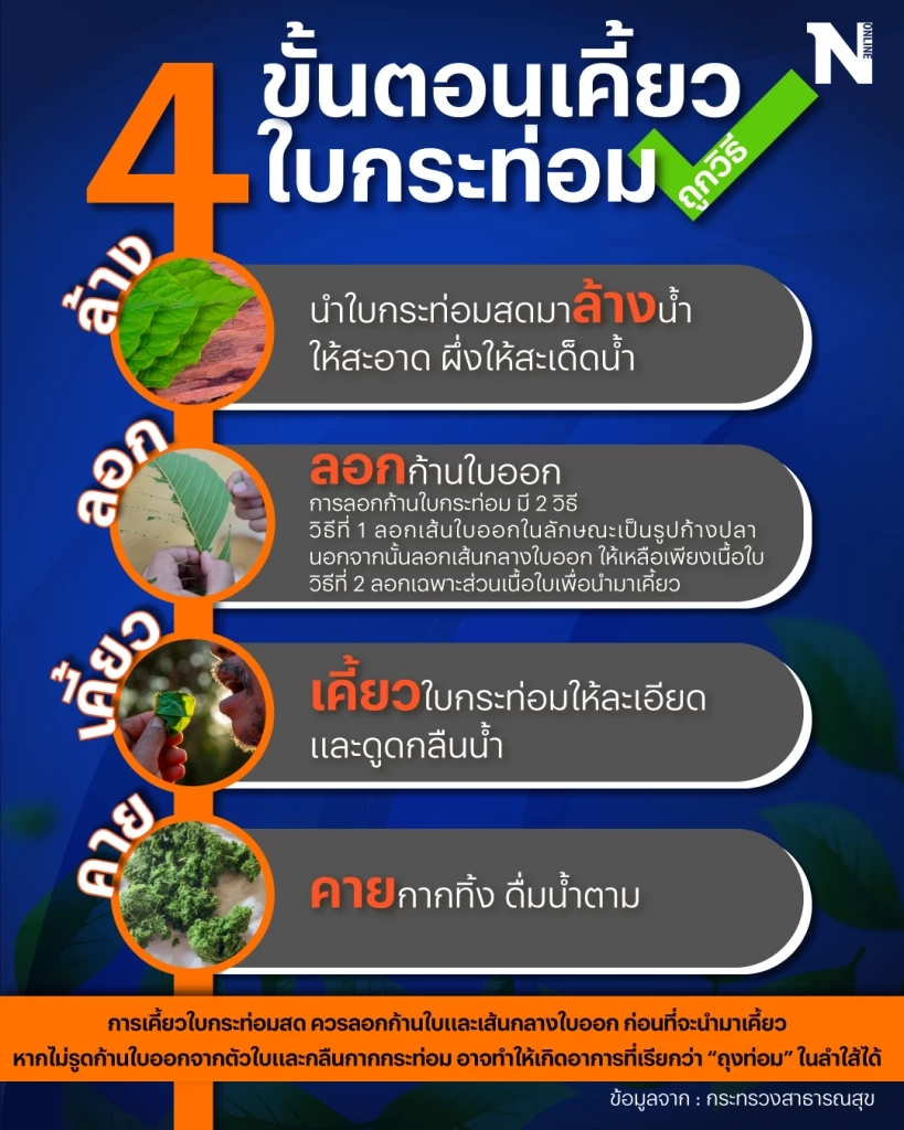 กรมการแพทย์แผนไทยฯ แนะ 4 ขั้นตอนการบริโภคใบกระท่อมสด