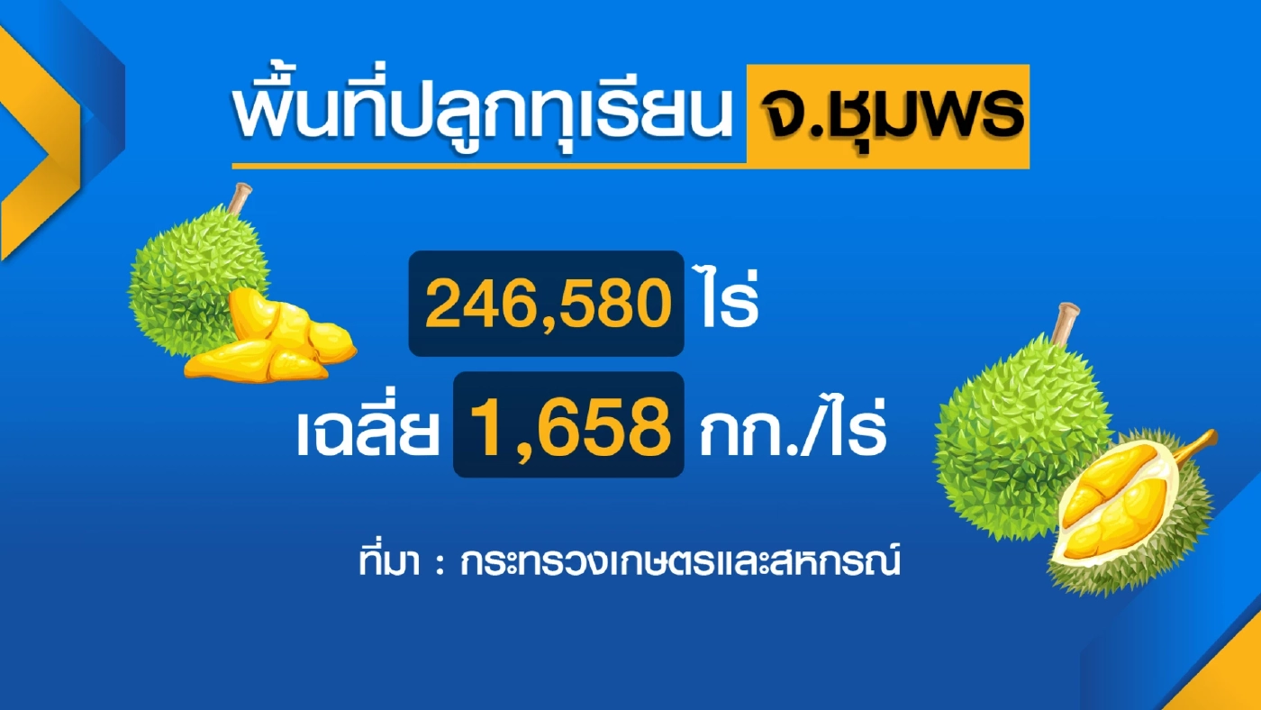 กระทรวงเกษตรฯหนุน 'ชุมพรมหานครแห่งทุเรียน'