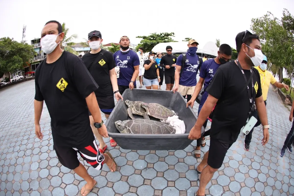 ภาครัฐ-เอกชน จัดงาน"รักษ์พะงัน 24 ชม."  รวมพลังฟื้นฟูท้องทะเล ชุมชนเกาะพะงันเนื่องในวันทะเลโลก 8 มิ.ย.