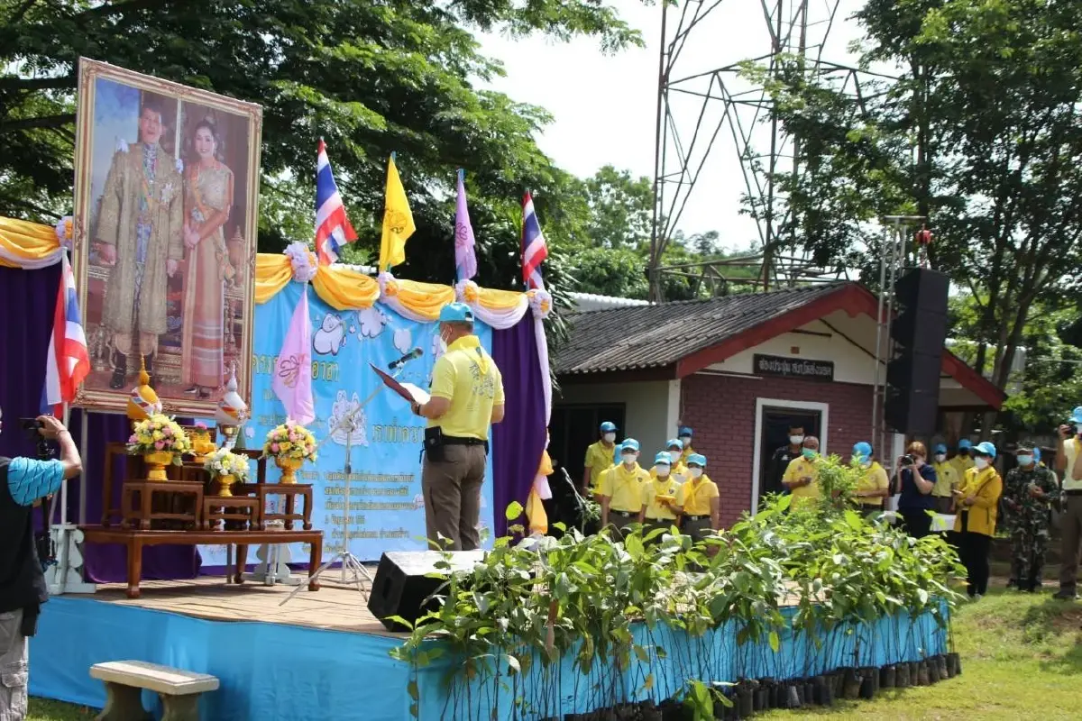 จิตอาสาภูธรเชียงใหม่ พร้อมใจปลูก 1 ล้านต้น ถวายแด่พระบรมราชินี