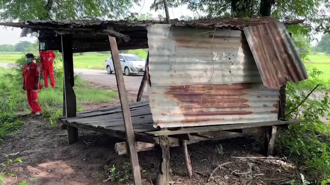 หวิดดับ5นร.หลบฝนในกระท่อมเจอฟ้าผ่าใส่ต้นมะขามช็อกหมดสติ