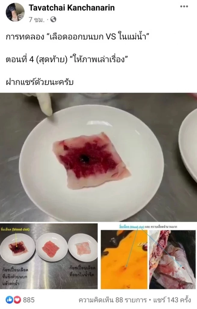 "อดีตศัลยแพทย์" ไขข้อสงสัยเลือด "แตงโม" เสียชีวิตบนบกหรือในน้ำ