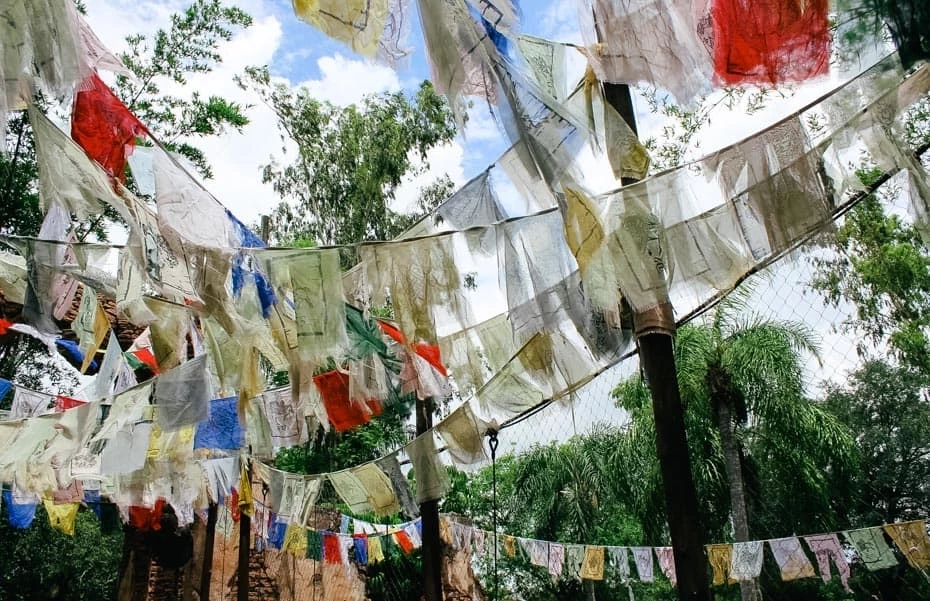 เมื่อศาลพระภูมิกลายเป็นบ้านนกที่ดิสนีย์แลนด์