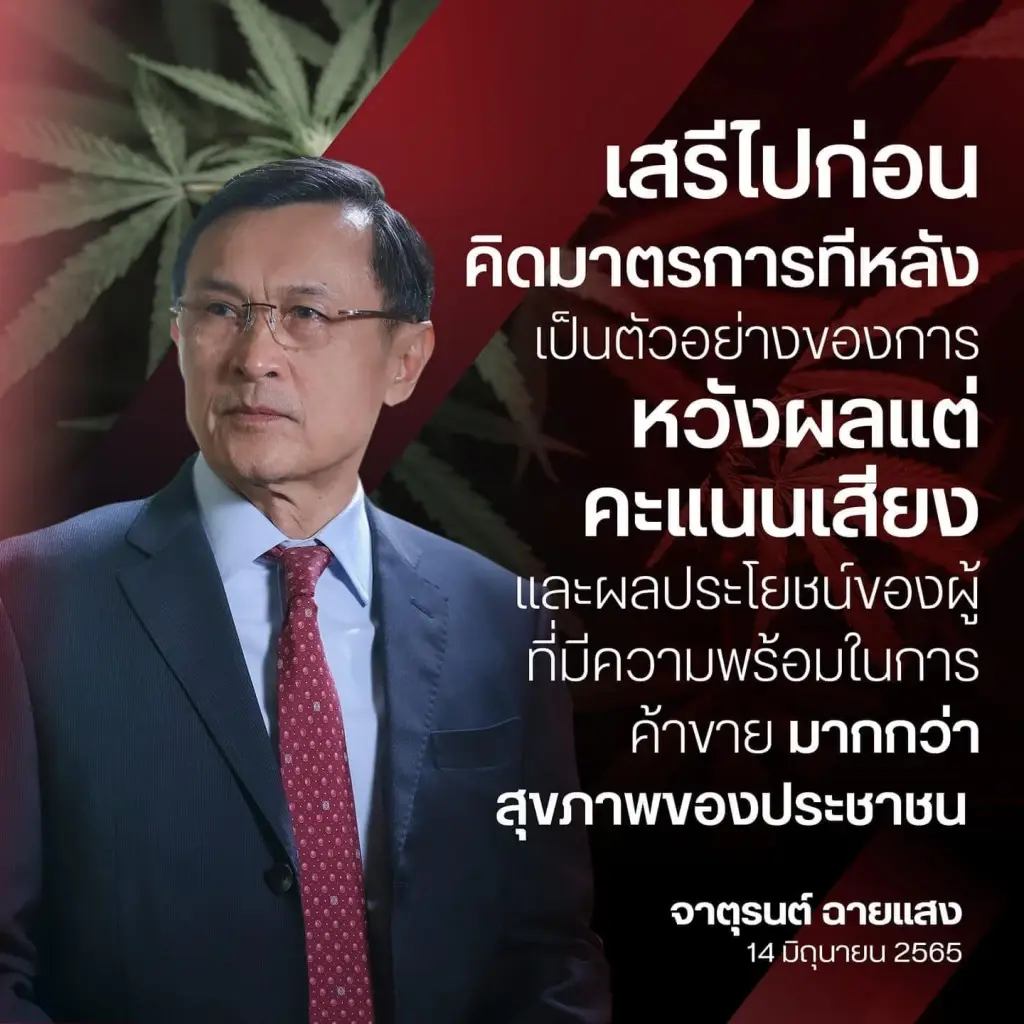 “จาตุรนต์”  เชื่อ “นโยบายกัญชาเสรี” ทำหวังผลคะแนนเสียงมากกว่าสุขภาพประชาชน