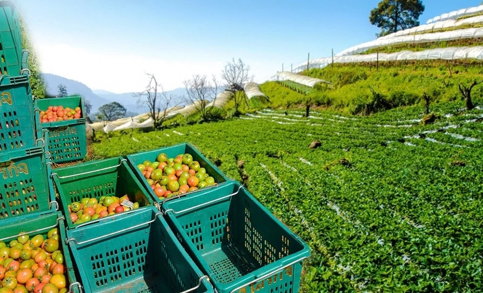 ทางรอดจากวิกฤตมรสุมเศรษฐกิจ ( Perfect Storm) รอบนี้ไทยยังพอมีทางออก