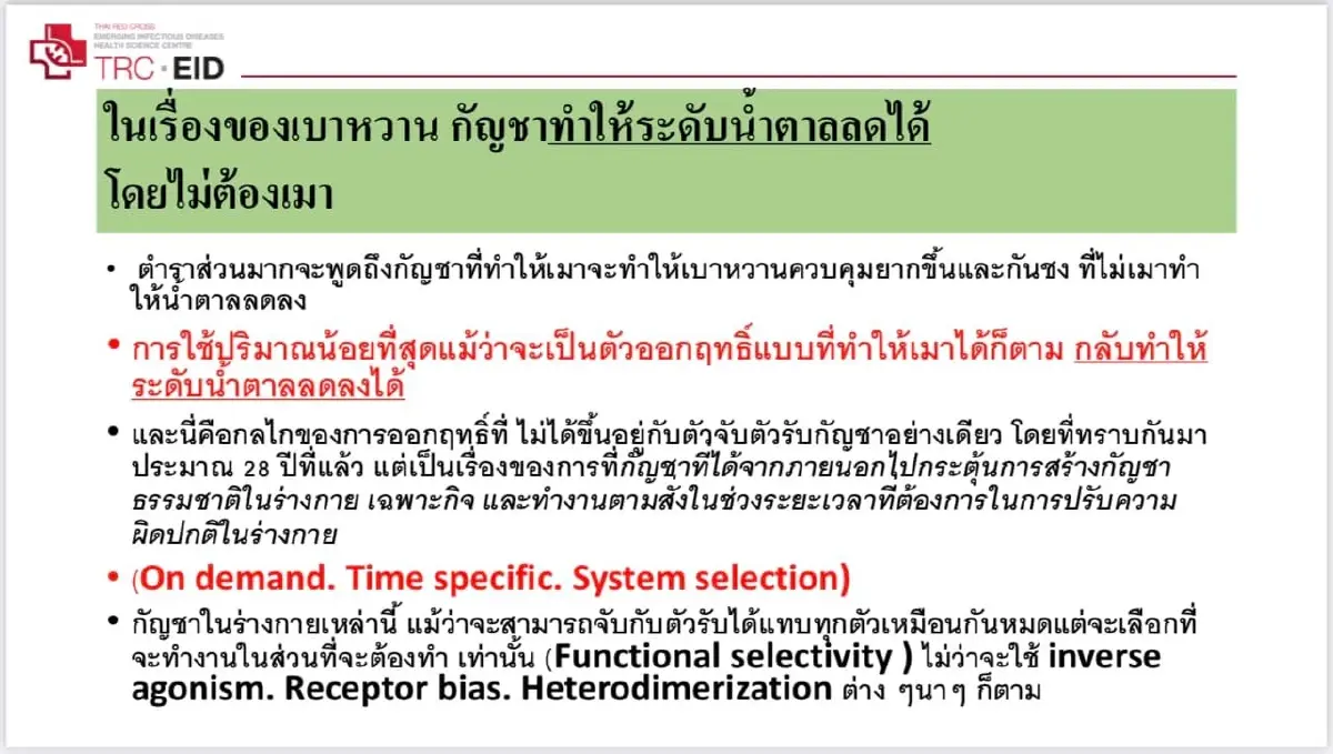 หมอธีระวัฒน์ ย้ำ 5 ข้อความปลอดภัยในการใช้"กัญชา" ตรวจสอบวิธีการได้ที่นี่