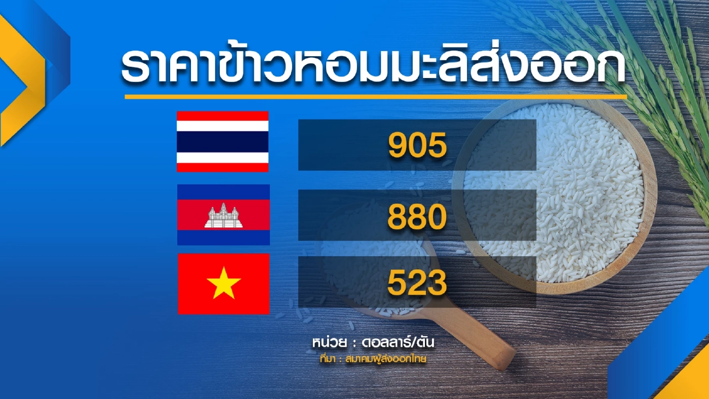 'ราคาข้าว' ปรับตัวดิ่งลงรุนแรงหลังผลผลิตล้นโลก