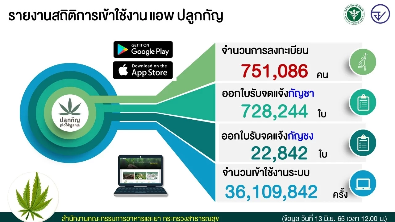 ข้อแนะนำดีๆ 10 วิธีใช้กัญชา จากสถาบันกัญชาทางการแพทย์