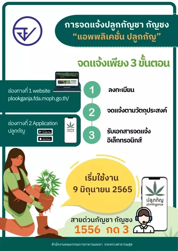 เปิด 3 ขั้นตอนง่ายๆ ก่อนปลูก "กัญชา-กัญชง" ผ่านแอปพลิเคชัน "ปลูกกัญ"