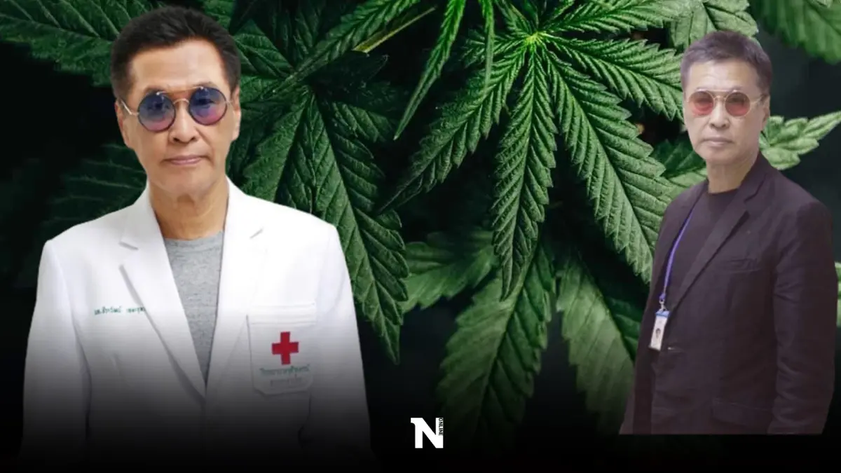 ‘หมอธีระวัฒน์’ เผย ผลรายงานวิจัย สรุปอาการทางจิตที่เกิดจากกัญชา