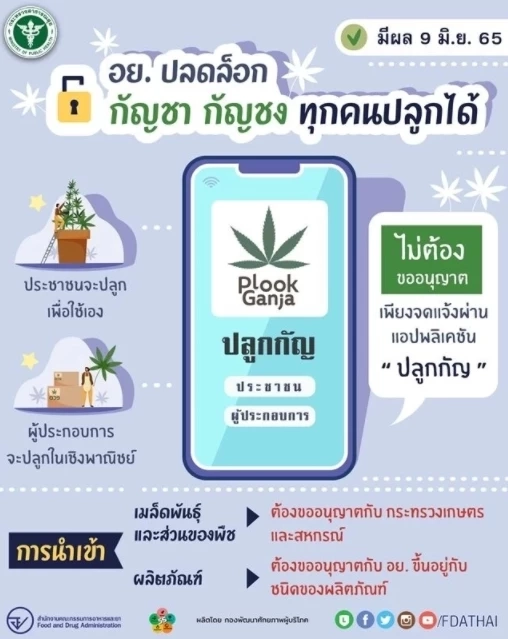 ส่องหลักเกณฑ์เปิด “เสรีกัญชา” 9 มิ.ย. นี้ อะไรทำได้ ทำไม่ได้บ้าง ?