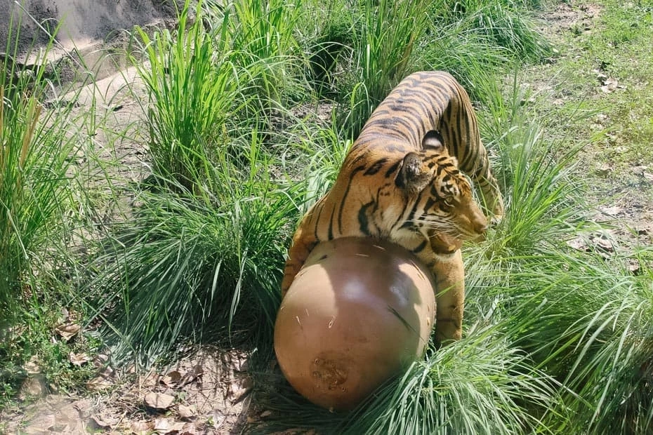 ภาพ : resortsgal