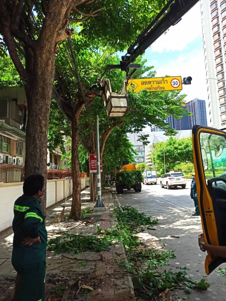 ผอ.เขตจตุจักร สั่งตัดต้นไม้บังทาง-จัดชุดสายตรวจร่วมป้องกันเหตุซ้ำรอย