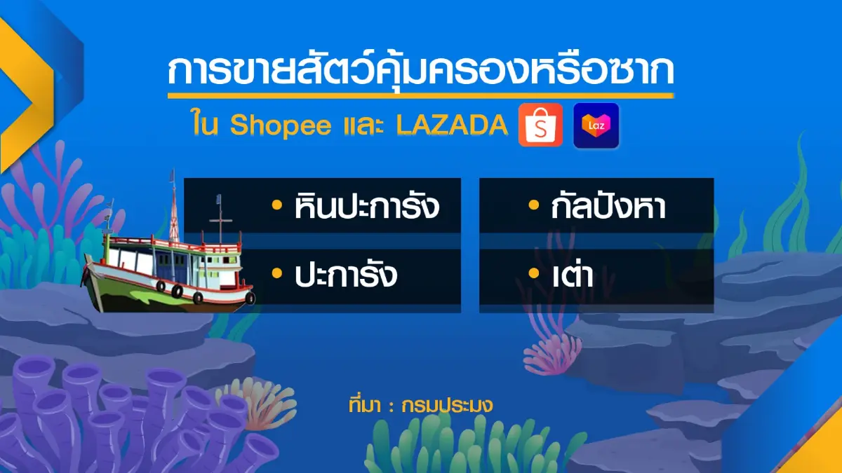 กรมประมงจี้ร้านออนไลน์งดขายเครื่องมือผิดกฎหมาย
