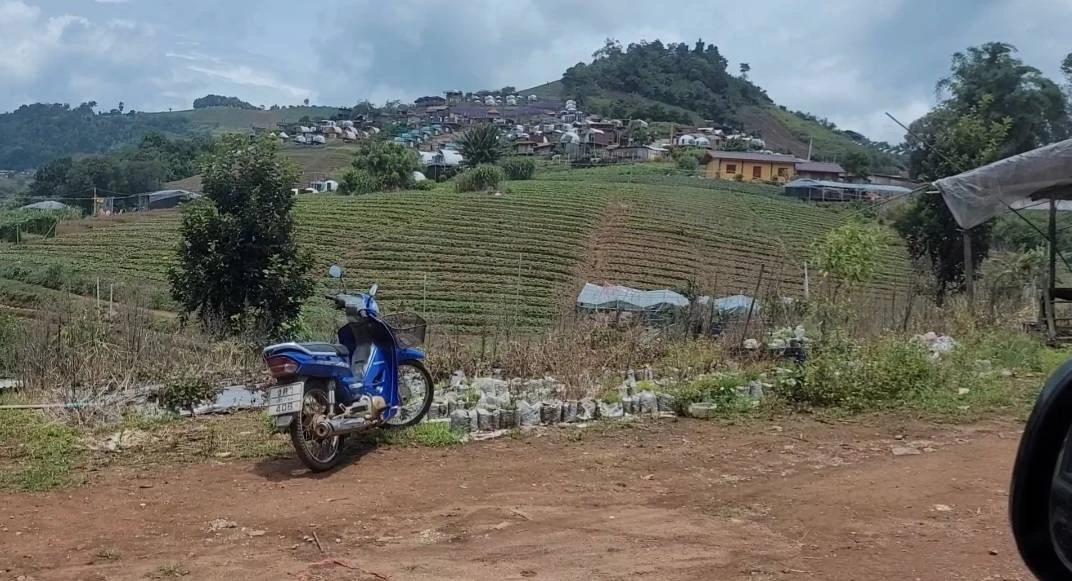 ฉาวอีกราย พบคลิปชายหญิงร่วมรักในพื้นที่ม่อนแจ่มว่อนเน็ต