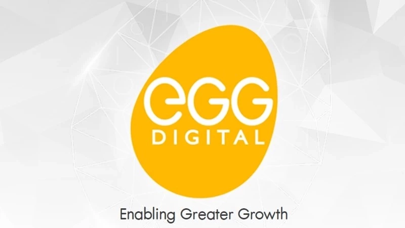 ทำความรู้จัก “Data-as-a-Service” โซลูชันจาก EGG Digital