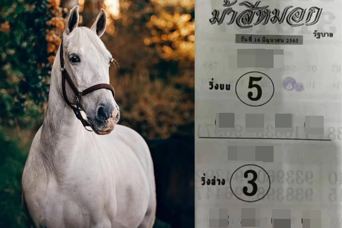 โค้งสุดท้ายเลขเด็ด16/6/65 เลขมหานิยม คอหวยไม่ควรพลาด  (ชมสดออกรางวัล)