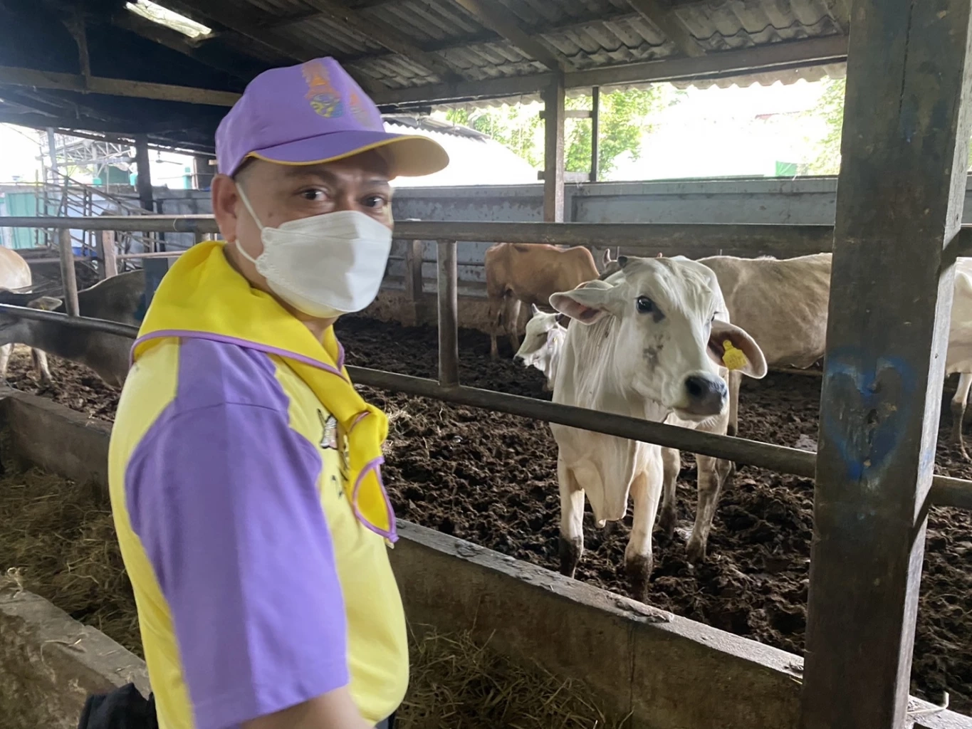 นายก สป.ตท.-แม่บ้านสอบสวนกลาง ไถ่ชีวิตโคกระบือ ถวายเป็นพระราชกุศล