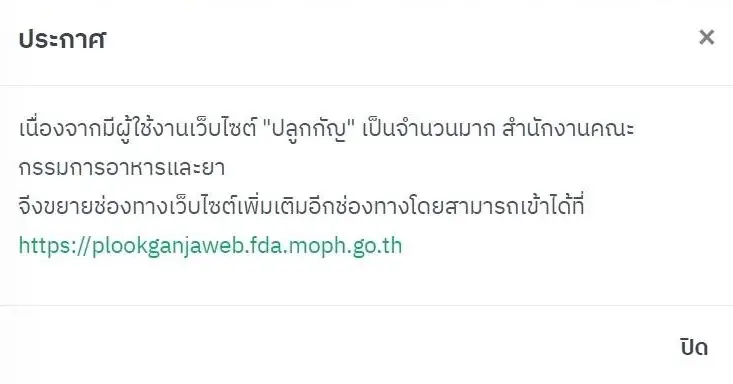 สายเขียวคึก ! คนแห่ลงทะเบียน “ปลูกกัญ”  วันแรกทำเว็บล่มแต่เช้า