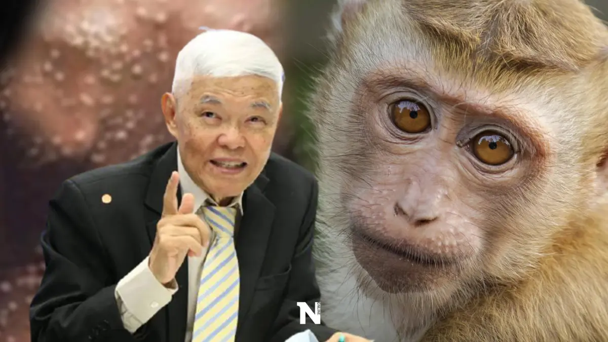 "หมอยง" เปิดข้อมูลล่าสุด การระบาดโรคฝีดาษลิง ย้ำชัด ยากต่อการป้องกัน
