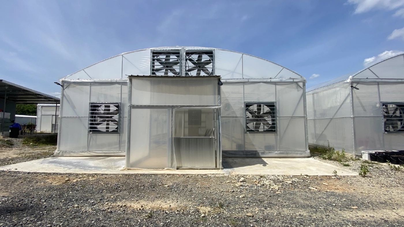 โรงเรือนปลูกกัญชาแบบปิด