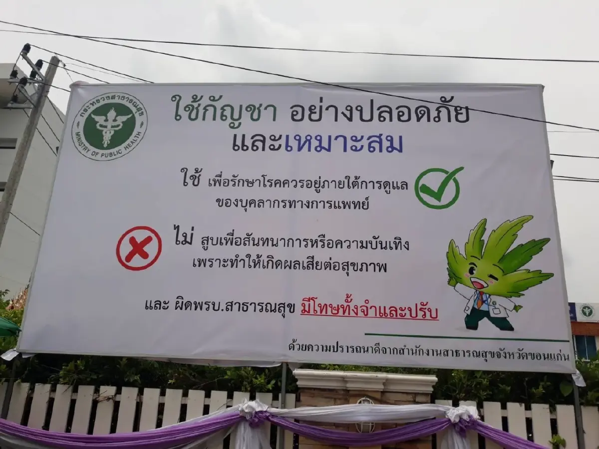 สสจ.ขอนแก่น พบประชาชนแพ้กัญชาเข้ารักษากว่า 100 ราย เร่งทำความเข้าใจ