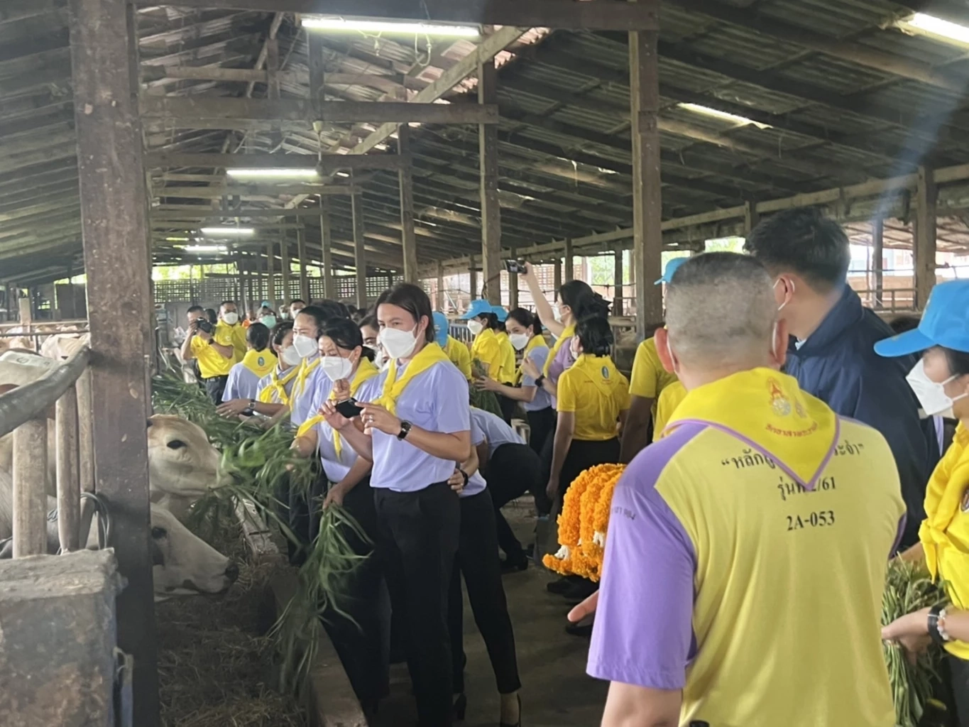 นายก สป.ตท.-แม่บ้านสอบสวนกลาง ไถ่ชีวิตโคกระบือ ถวายเป็นพระราชกุศล