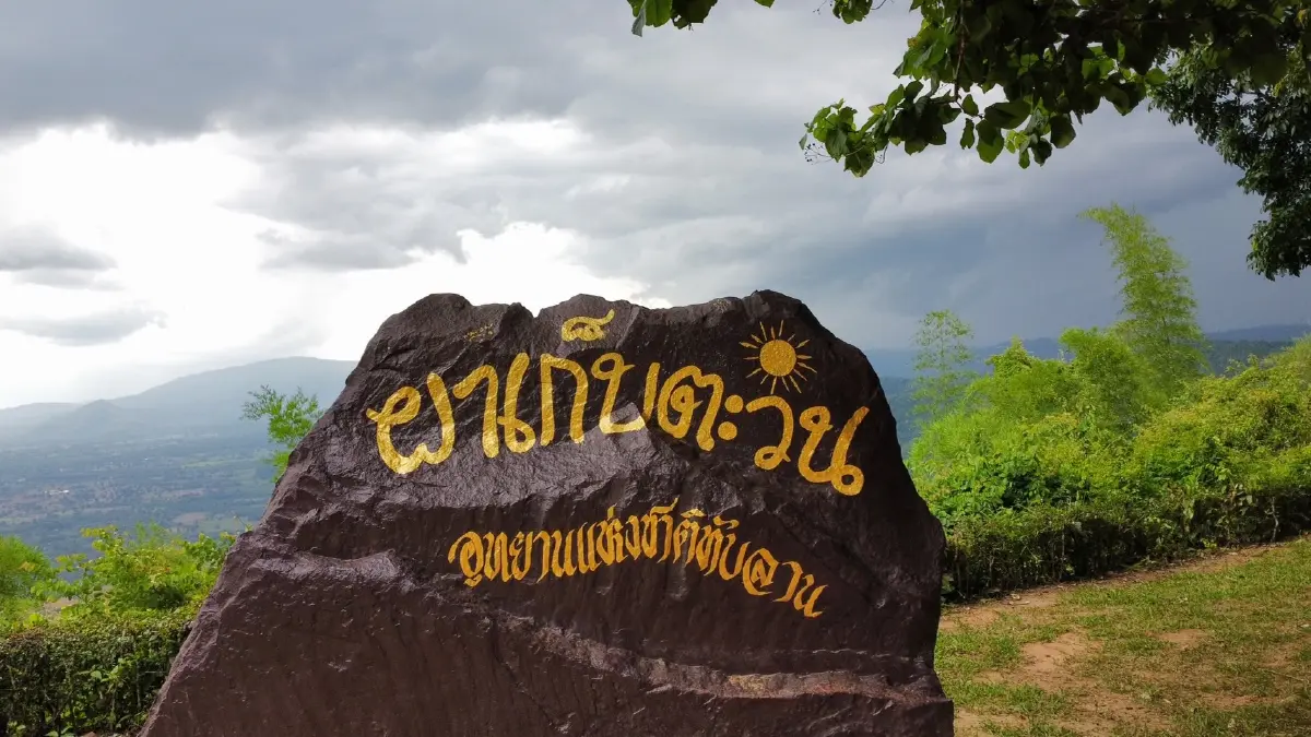 “ปลูกป่าลอยฟ้า 2022” กิจกรรมหนังสติ๊ก ดูแลป่าทับลาน