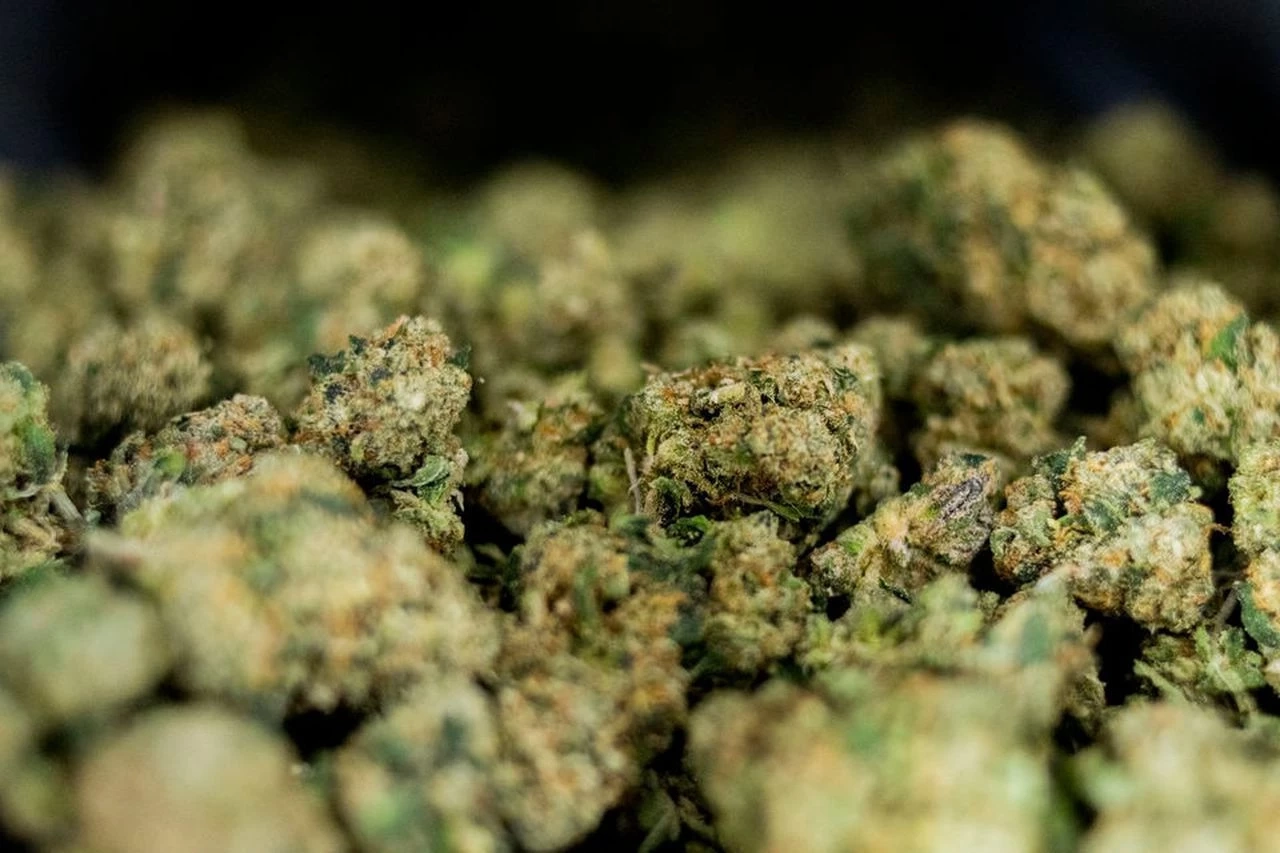 เปิดเส้นทางกัญชาเสรี เสพที่ไหนได้ในโลก