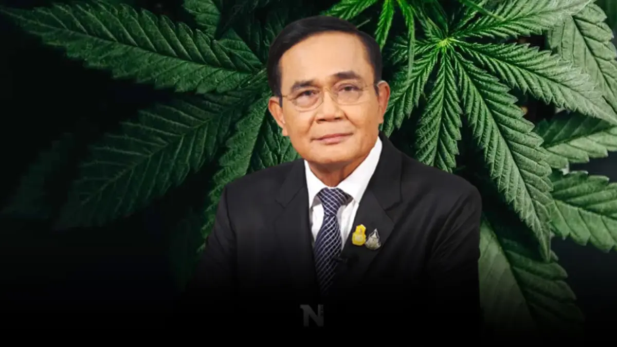 นายธนกร เผย รัฐบาลคุมเข้มการใช้กัญชา ยัน ปลดล็อกเพื่อใช้ในการแพทย์และศก.