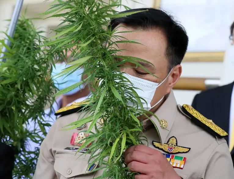 "บิ๊กตู่" เข้มสั่งห้ามทหารใช้กัญชาในหน่วย รวมถึงโชว์ผ่านโซเชียลเด็ดขาด