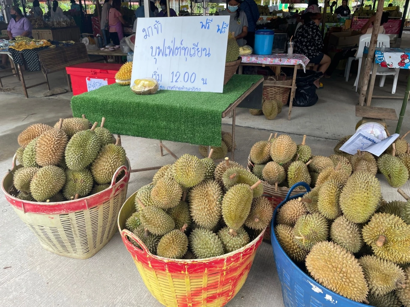 สุดฟิน!!!ชาวสวนลับแลใจดี แจกทุเรียนกินฟรี200กก.