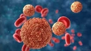 วงการแพทย์กังวล หลัง โอมิครอน BA.4- BA.5  แพร่ระบาดได้ดีกว่า BA.2.12.1