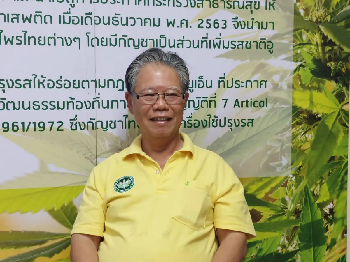 สภาเกษตรกรแห่งชาติแนะเคล็ดลับปลูกกัญชาให้รอด