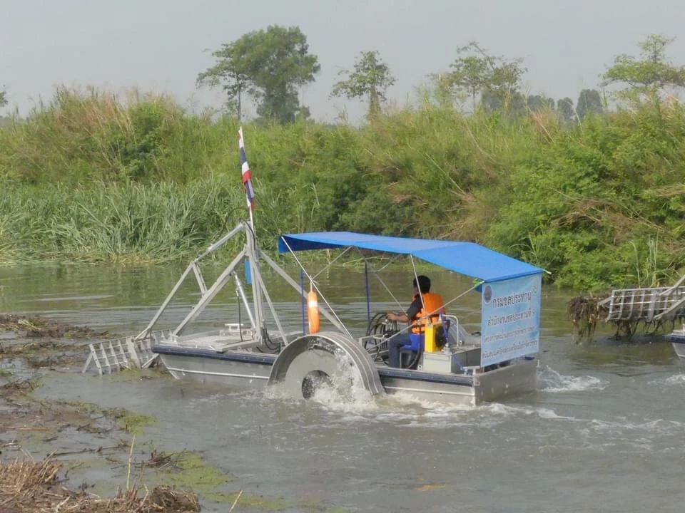 "อธิบดีกรมชลประทาน" สั่งกำจัดผักตบทุกพื้นที่ เพื่อเปิดทางน้ำชลประทาน