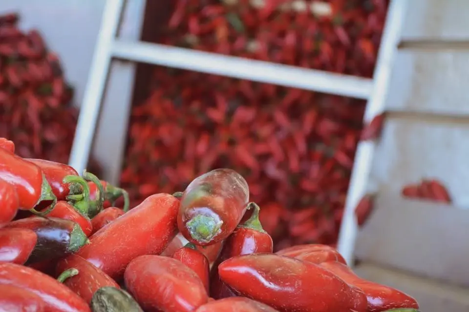 ภาพ : Huy Fong Foods, Inc.