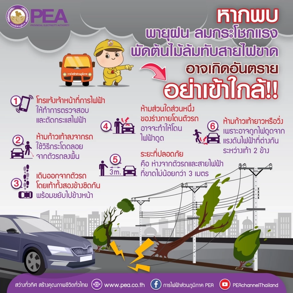 การไฟฟ้าส่วนภูมิภาค เตือนกรณีเกิดพายุฝน ลมกระโชกแรงพัดต้นไม้ล้มทับสายไฟฟ้า