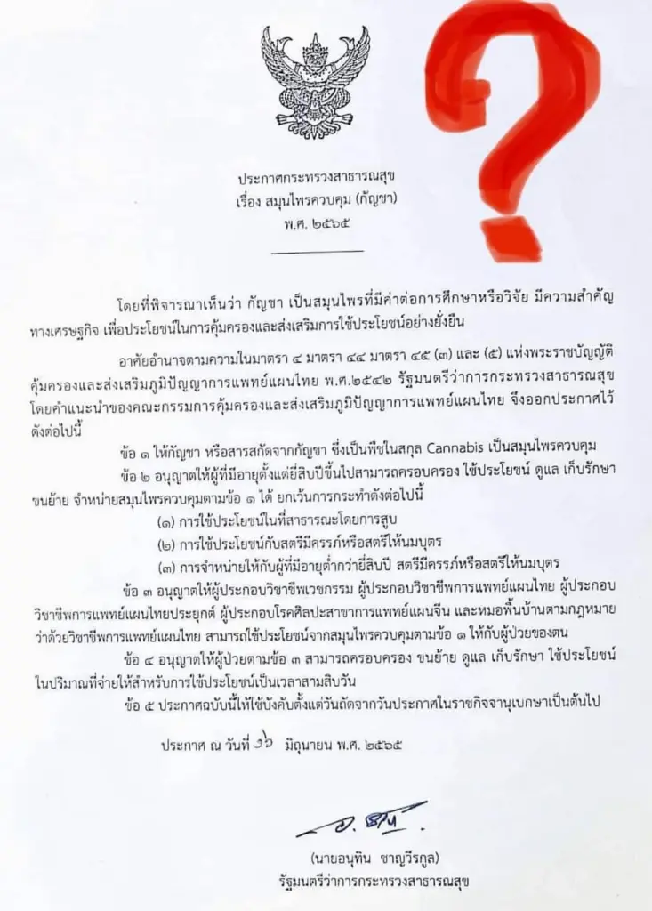 “ชมรมแพทย์ชนบท” ซัดประกาศ สธ.เกณฑ์อายุใช้กัญชา ชี้ยิ่งแก้ยิ่งอีนุงตุงนัง