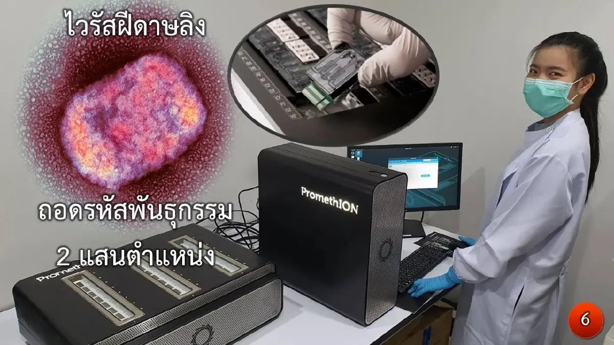 WHO เปิดรายงาน "ฝีดาษลิง" ระบาดหนัก แพร่ 2 สายพันธุ์พร้อมกัน รุนแรงกว่าโควิด