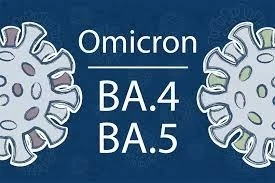 วงการแพทย์กังวล หลัง โอมิครอน BA.4- BA.5  แพร่ระบาดได้ดีกว่า BA.2.12.1
