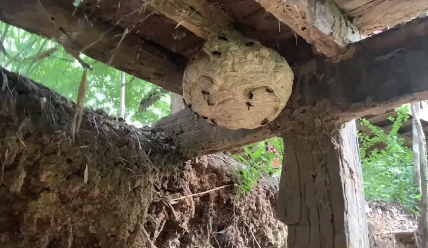 “ต่อพิฆาต” ต่อยลุง 67 เสียชีวิต แค่นั่งพักเหนื่อยในกระต๊อบ