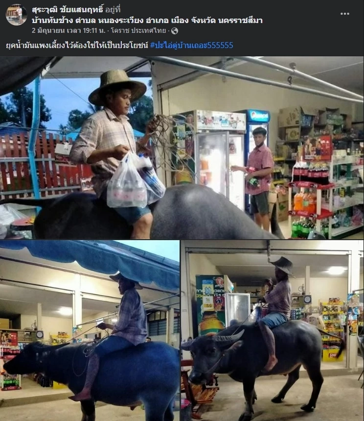 ประชดน้ำมันแพง “หนุ่มโคราช” ขี่ควายไปซื้อของ ชาวเน็ตแห่แซวสนั่นโซเชียล