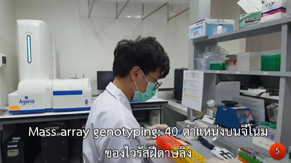 WHO เปิดรายงาน "ฝีดาษลิง" ระบาดหนัก แพร่ 2 สายพันธุ์พร้อมกัน รุนแรงกว่าโควิด