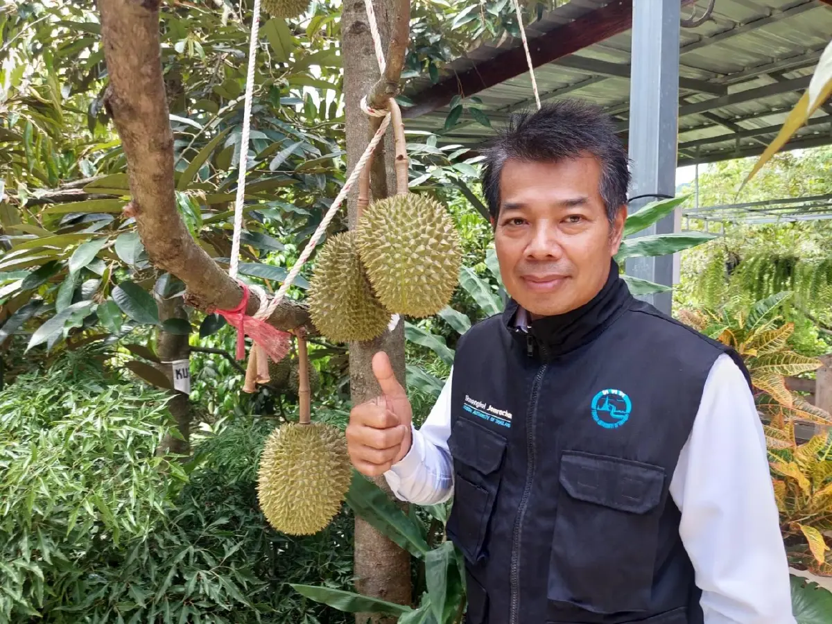 เปิดสวนทุเรียนGI“หลง-หลิน”ฟันรายได้200ล.