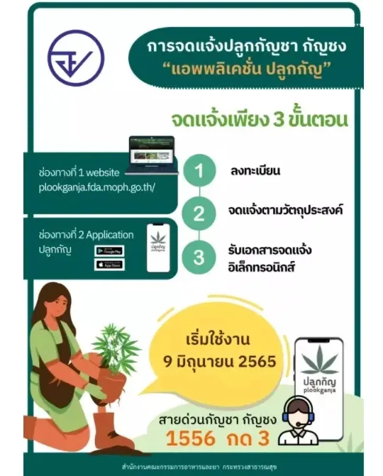 สายเขียวคึก ! คนแห่ลงทะเบียน “ปลูกกัญ”  วันแรกทำเว็บล่มแต่เช้า