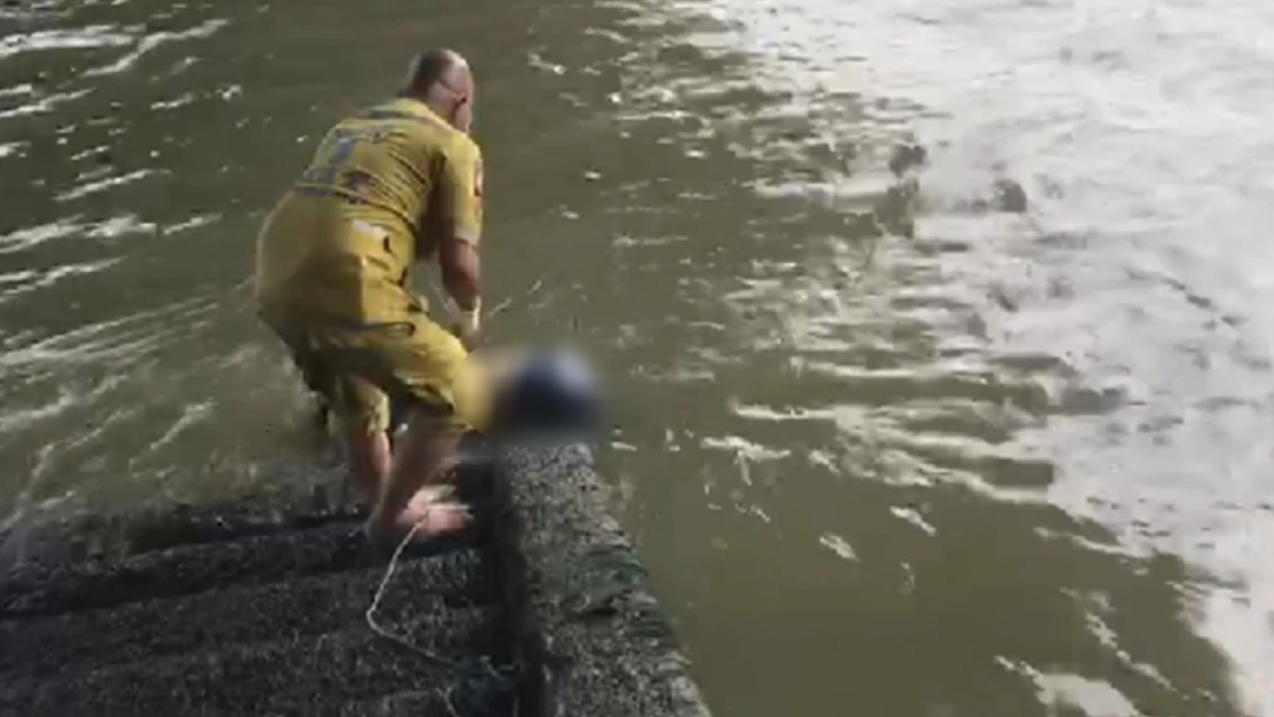 พบศพหญิงนิรนามสวมเสื้อดำ ลอยในแม่น้ำเจ้าพระยา คาดเสียชีวิตมาแล้ว 2-3 วัน