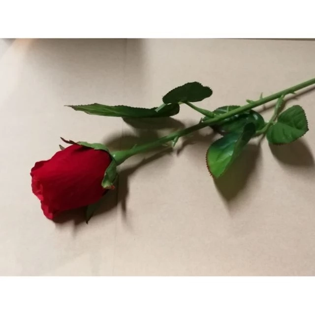 อ.คฑา เปิด 3 ราศีความรักดี๊ดี พร้อมเคล็ดลับขอพรสิ่งศักดิ์สิทธิ์เสริมพลังรัก